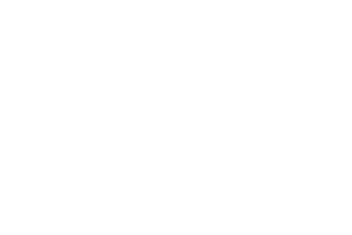 Triple Lock Standard Logo 2022