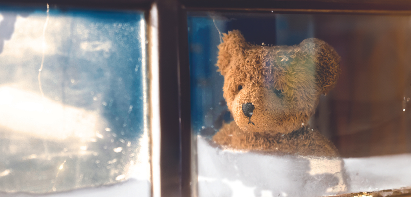 lonely teddy bear in christmas window